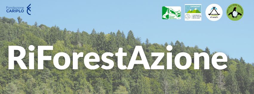 Progetto RiForestAzione